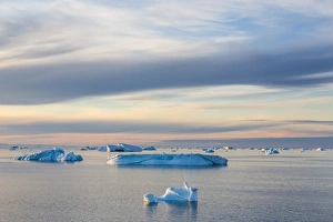 Sea Ice Prints: Icebergs in Kong Oscar Fjord, Northeast Greenland, Polar Regions