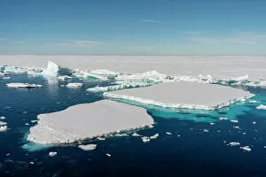 What's New: Icebergs, Larsen B Ice Shelf, Weddell Sea, Antarctica, Polar Regions