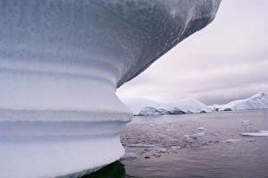 South Pole Prints: Icebergs near Pleneau Island, Lemaire Channel, Antactic Peninsula, Antarctica
