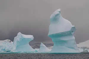 Paradise Bay Prints: Icebergs, Paradise Bay, Antarctica, Polar Regions