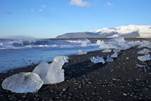 Black Sand Prints: Icebergs on volcanic sand beach at Jokulsarlon with snow on the massive icecap of Vatnajokull behind