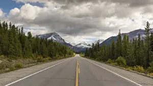 Road Marking Prints: Icefields Parkway leading toward the Canadian Rocky Mountains, Jasper National Park
