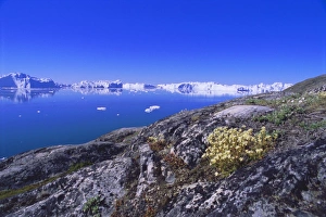 Ilulissat Prints: The icefjord at Sermermiut