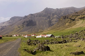 Rural Roads Prints: Icelandic sheep, Hof, South coast, Iceland, Polar Regions