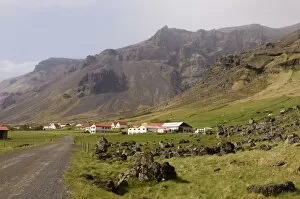 Icelandic sheep, Hof, South coast, Iceland, Polar Regions