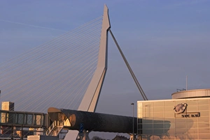 Erasmus Bridge Prints: The iconic Erasmus Bridge, one of the citys landmarks
