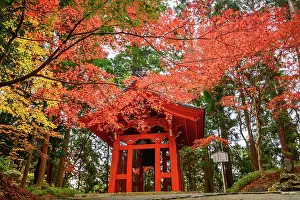 Mountaintop Prints: Iconic red Shoro (bell tower) framed by vivid autumn leaves on Mount Hiei