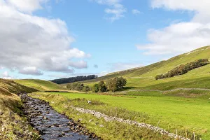 Dales Prints: Idyllic countryside landscape with a stream