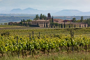 La Rioja Prints: Idyllic vineyard in La Rioja, Spain, Europe