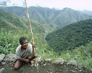 Farmer Prints: Ifagao Indian rice paddy worker