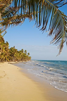 Corn Islands Prints: Iguana Beach, Little Corn Island, Corn Islands, Nicaragua