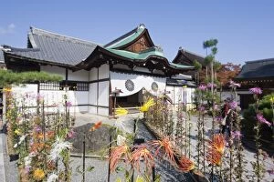 Images Dated 23rd November 2009: Ikebana flower arrangement, Daikaku ji (Daikakuji) Temple, dating from 876