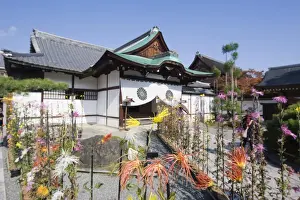 Ikebana flower arrangement, Daikaku ji (Daikakuji) Temple, dating from 876