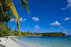 Images Dated 3rd September 2008: Ile des Pins, New Caledonia, Melanesia, South Pacific, Pacific