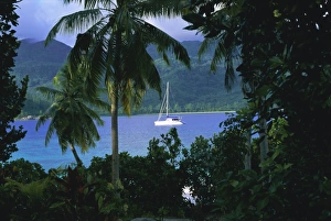 Mahe Prints: Ile Therese