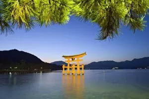 Images Dated 26th November 2009: Illumination of Itsukushima Shrine Torii Gate, UNESCO World Heritage Site