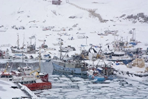 Ilulissat Prints: Ilulissat harbour, Greenland, Denmark, Polar Regions