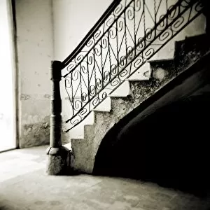 Monochrome Gallery: Image taken with a Holga medium format 120 film toy camera of stairs with ornate ironwork inside apartment building
