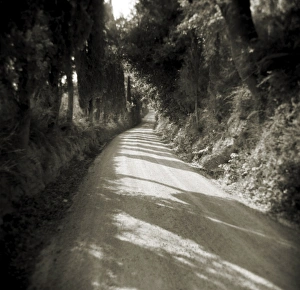 Image taken with a Holga medium format 120 film toy