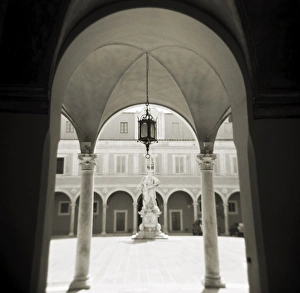 Image taken with a Holga medium format 120 film toy