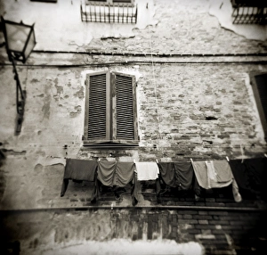 Monochrome Gallery: Image taken with a Holga medium format 120 film toy