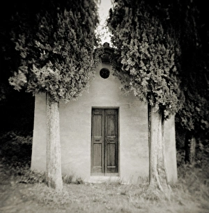 Image taken with a Holga medium format 120 film toy