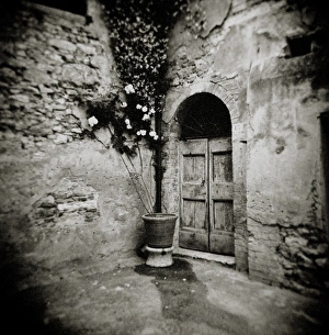 Monochrome Gallery: Image taken with a Holga medium format 120 film toy