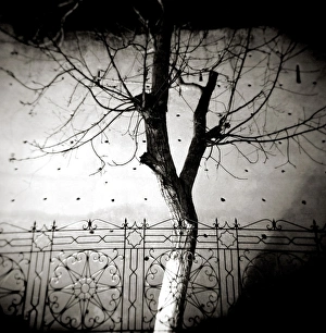 Monochrome Gallery: Image taken with a Holga medium format 120 film toy