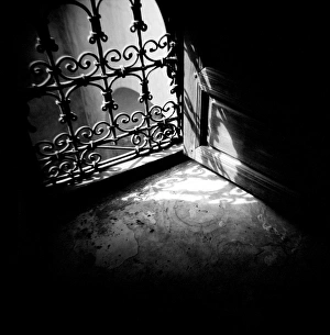 Monochrome Gallery: Image taken with a Holga medium format 120 film toy