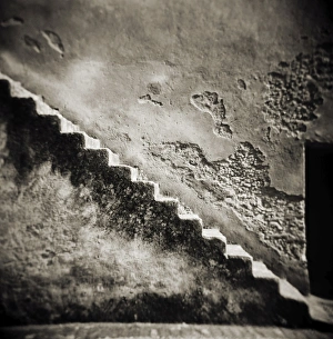 Monochrome Gallery: Image taken with a Holga medium format 120 film toy