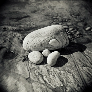 Image taken with a Holga medium format 120 film toy