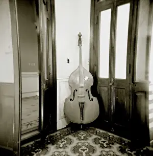 Musical Instrument Prints: Image taken with a Holga medium format 120 film toy camera of double bass resting against wall inside Palacio de Valle