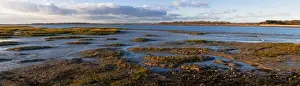 Marsh Prints: The image of the world is represented in the shape of the creak weaving around the marshy edges of Chichester Harbour