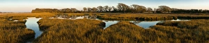 Images Dated 2nd January 2009: The image of the world is represented in the shape of the creek weaving around the marshy edges of
