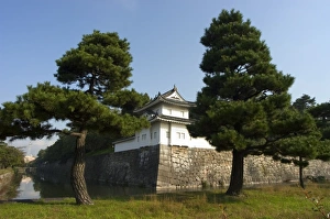 Imperial Palace Prints: Imperial Palace walls