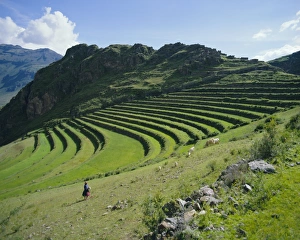 Horse Back Prints: Inca terrace still in use