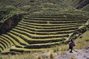Terraced Field Prints: Inca terracing in the Sacred Valley, Pissac, Peru, South America