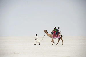 Working Animals Prints: Indian family enjoying a camel ride in the white desert, a seasonal salt marsh in