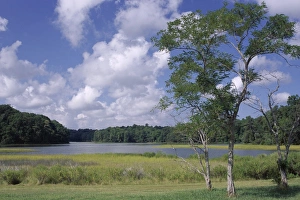 Indian Field Creek