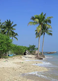 Roots Prints: Indian Ocean and sandy tropical beach at Pasikudah Bay, Eastern Province, Sri Lanka, Asia