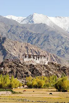 Meditation Prints: Indus River valley with the Tibetan Buddhist Stakna Monastery in the background