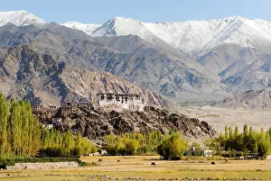 Monasteries Prints: Indus River valley with the Tibetan Buddhist Stakna Monastery in the background