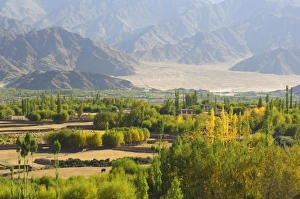 Indus Valley