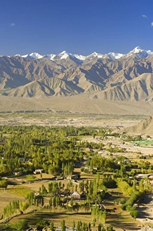 Indus Prints: Indus Valley and Stok-Kangri massif