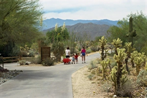 Palm Springs Prints: Information park called The Living Desert