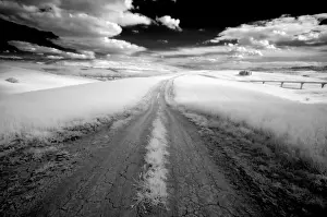 Photographic Techniques Prints: Infrared image of dirt track through fields near San Quirico d Orcia