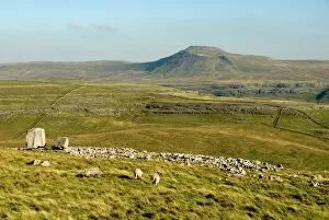Rolling Landscape Collection: Ingleborough, seen beyond the Cheese Press Stone above Kingsdale, Yorkshire Dales, Yorkshire