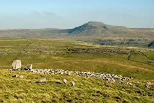 Rolling Landscape Prints: Ingleborough, seen beyond the Cheese Press Stone above Kingsdale