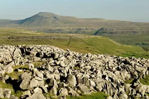 Rolling Landscape Collection: Ingleborough, seen from limestone benches above Kingsdale, Yorkshire Dales, Yorkshire, England