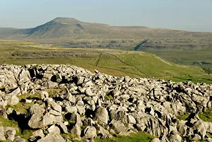 Rolling Landscape Prints: Ingleborough, seen from limestone benches above Kingsdale